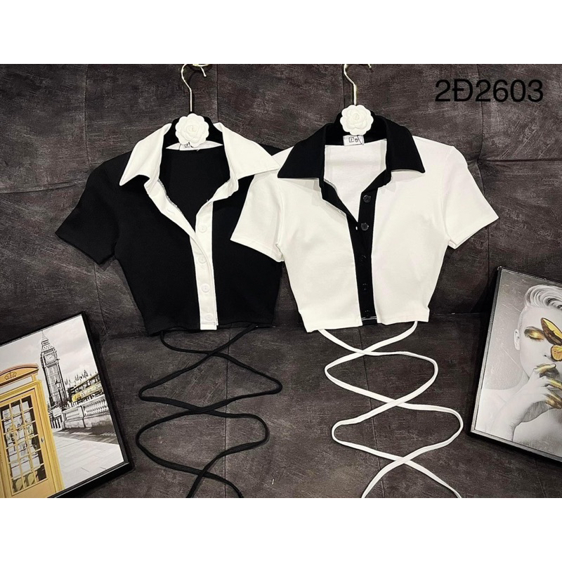 Áo Thun Croptop Cổ Bẻ Viền Đan Eo