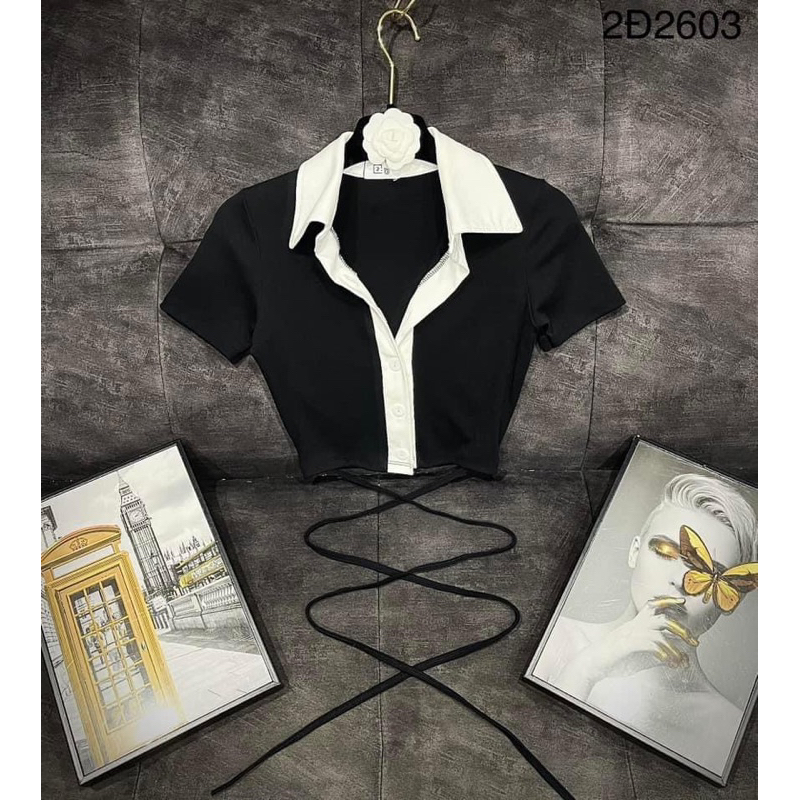 Áo Thun Croptop Cổ Bẻ Viền Đan Eo