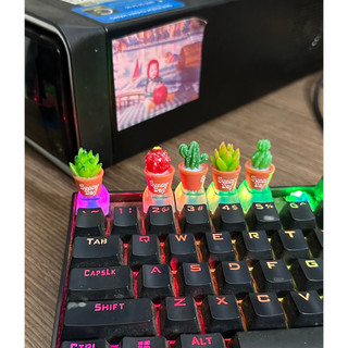 Keycap các loại (xem hết ảnh nha bà con ^^)