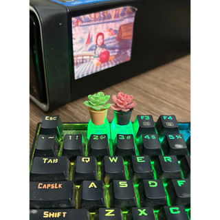 Keycap các loại (xem hết ảnh nha bà con ^^)