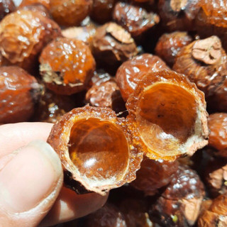 Bồ hòn tách hạt 1kg