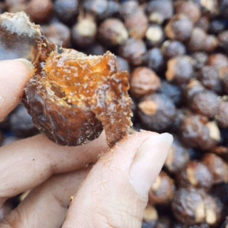 Quả Bồ Hòn Tách Hạt 1kg (bồ hòn loại 1, nhiều mật)