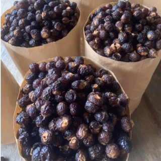 Quả Bồ Hòn Tách Hạt 1kg (bồ hòn loại 1, nhiều mật)