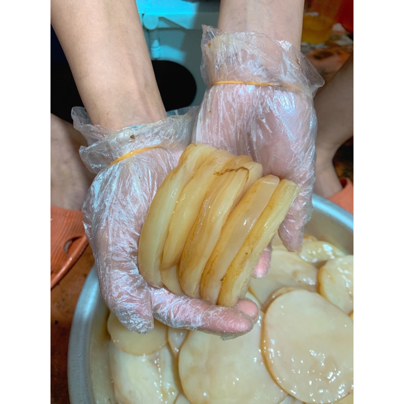 Siêu rẻ Scoby + nước mồi làm trà kombucha 50k 4 bé