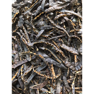 Bồ kết đã sao thơm,bỏ hạt 1kg