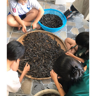 BỒ KẾT ĐÃ SAO THƠM,BỎ HẠT 1kg