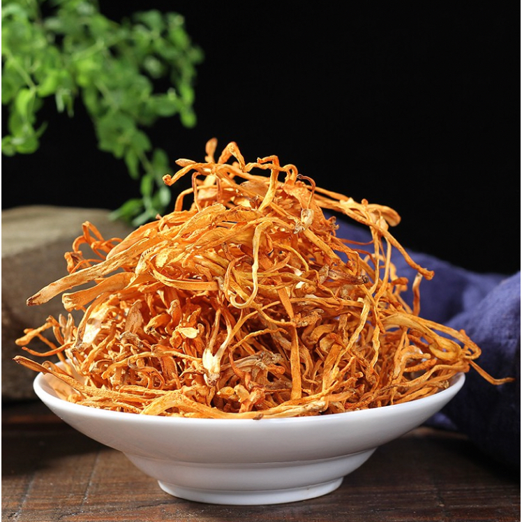 Đông Trùng Hạ Thảo 50, 100, 200G Sấy Khô Sợi To Ngon Hàng Cao Cấp Tăng Cường Thể Lực