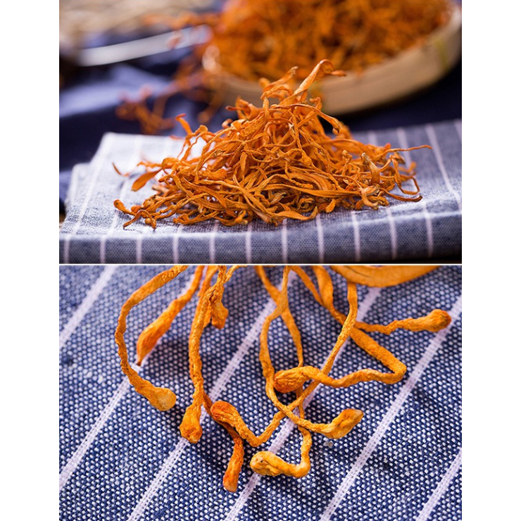 Đông Trùng Hạ Thảo 50, 100, 200G Sấy Khô Sợi To Ngon Hàng Cao Cấp Tăng Cường Thể Lực