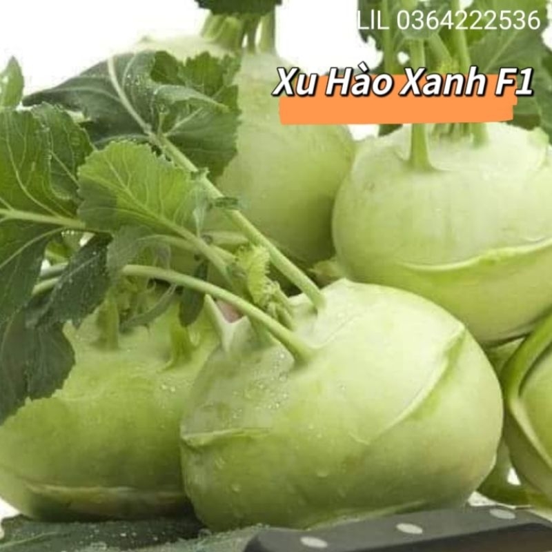 0,5 gr hạt giống xu hào xanh non chất lượng cao 😍🧡Freeship ❤️💥chất lượng cao