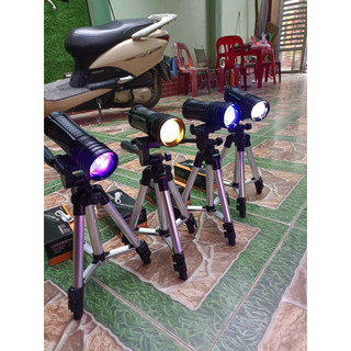 Đèn soi phao câu cá 4 màu 3 chế độ.