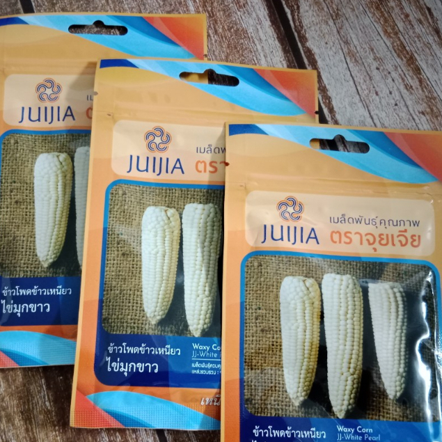 Hạt giống Ngô nếp dẻo Julia Thái Lan