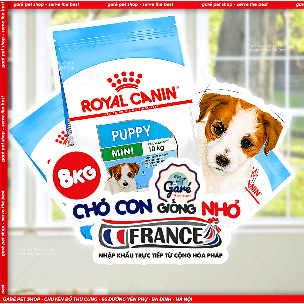 8kg - Hạt thức ăn Chó con Royal Canin Mini Puppy cho Chó con (dưới 10kg) bao lớn tiết kiệm nhập Pháp