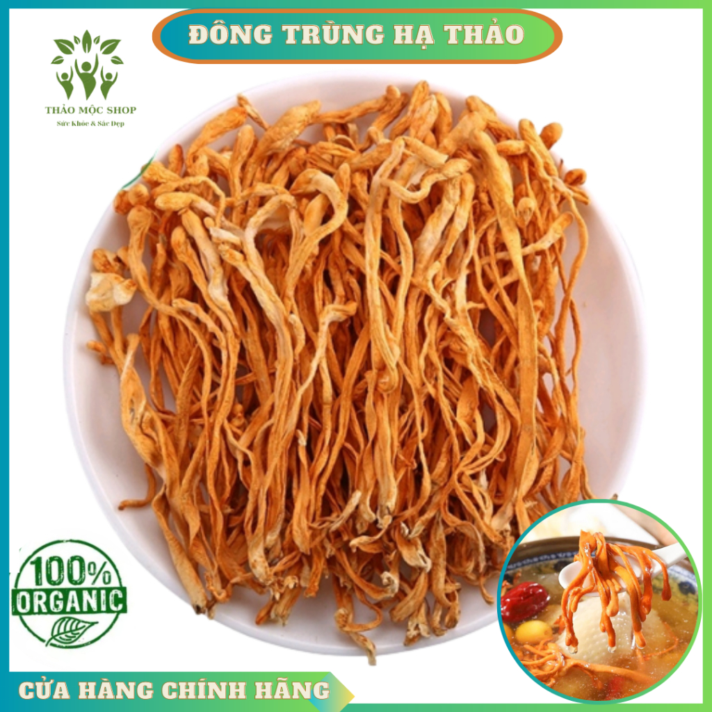 ✅  Đông Trùng Hạ Thảo 100gr Sấy Khô Sợi To Ngon Hàng Cao Cấp Bồi Bổ Cơ Thể