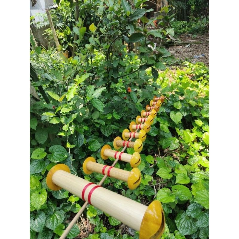 Cưa 45 hàng đẹp