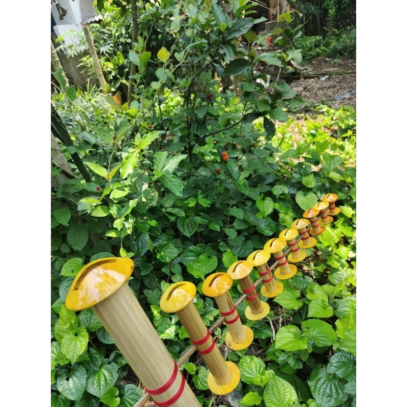 Cưa 45 hàng đẹp