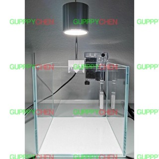Lọc thác mini cho hồ cá thủy sinh