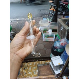 Cóng nước thủy tinh dành cho chim Chào mào