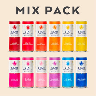 STAR KOMBUCHA 250ml
