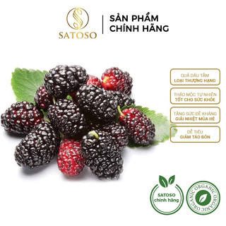 Dâu tằm sấy khô chất lượng cao satoso 500g