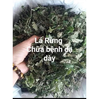 100g lá đắng rừng loại 1 , tây bắc