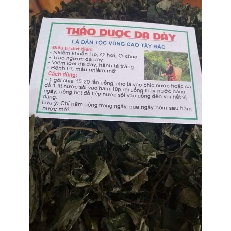 200g Lá đắng rừng (lá cây cơm thìa) loại 1 chuẩn tây bắc ( dược liệu)