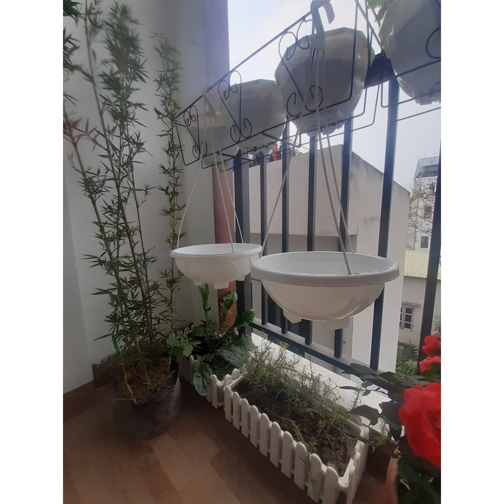 Chậu chảo nhựa treo dây xích trồng hoa, cây cảnh  KT 29x15cm