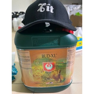 bud xl, kích nhựa, kích hoa to, vận chuyển dinh dưỡng dồn hết vào hoa.