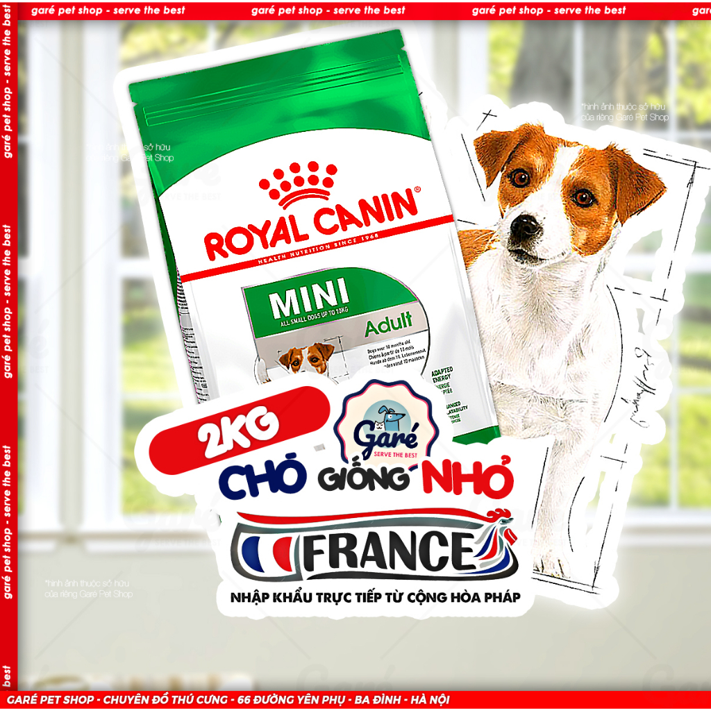 2kg - Hạt Mini Adult Royal Canin dành cho Chó giống nhỏ dưới 10kg trưởng thành trên 10 tháng tuổi Garé Pet Shop