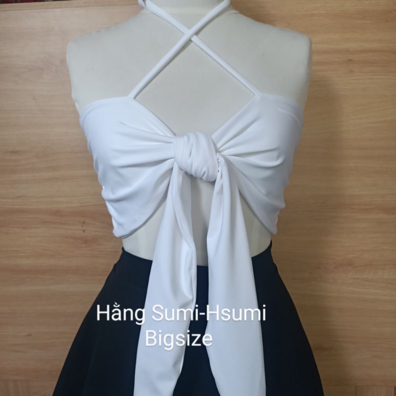 Áo bơi, áo đi biển có mút ngực Bigsize Hằng Sumi-Hsumi