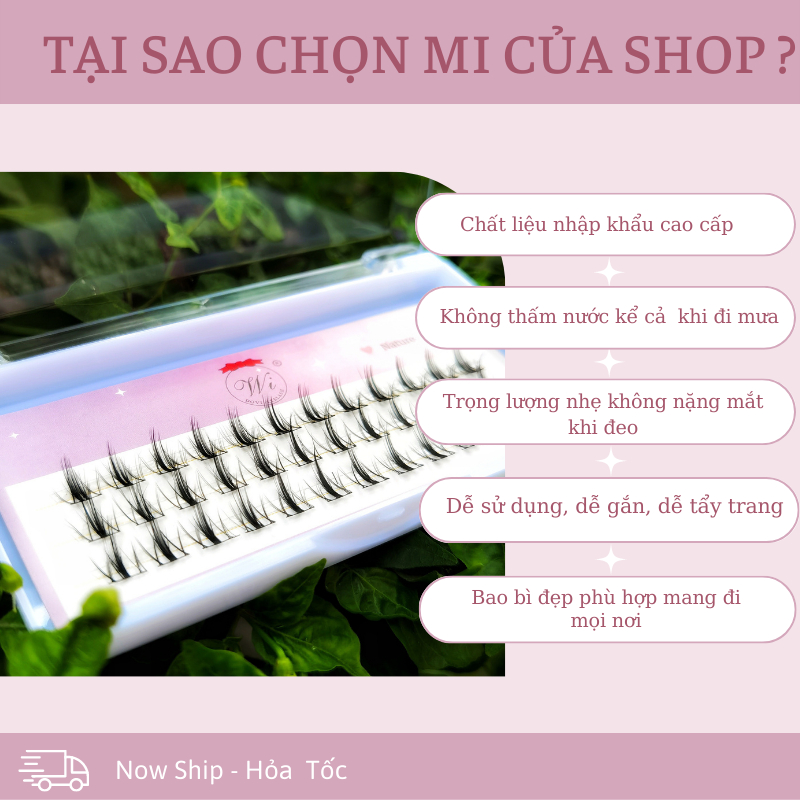 Mi Giả Tách Sợi, Mi nối, Mi Chùm Phong Cách Chữ A, Chữ V, Tự Nhiên Tự Nối Tại Nhà 3Dòng mã W10