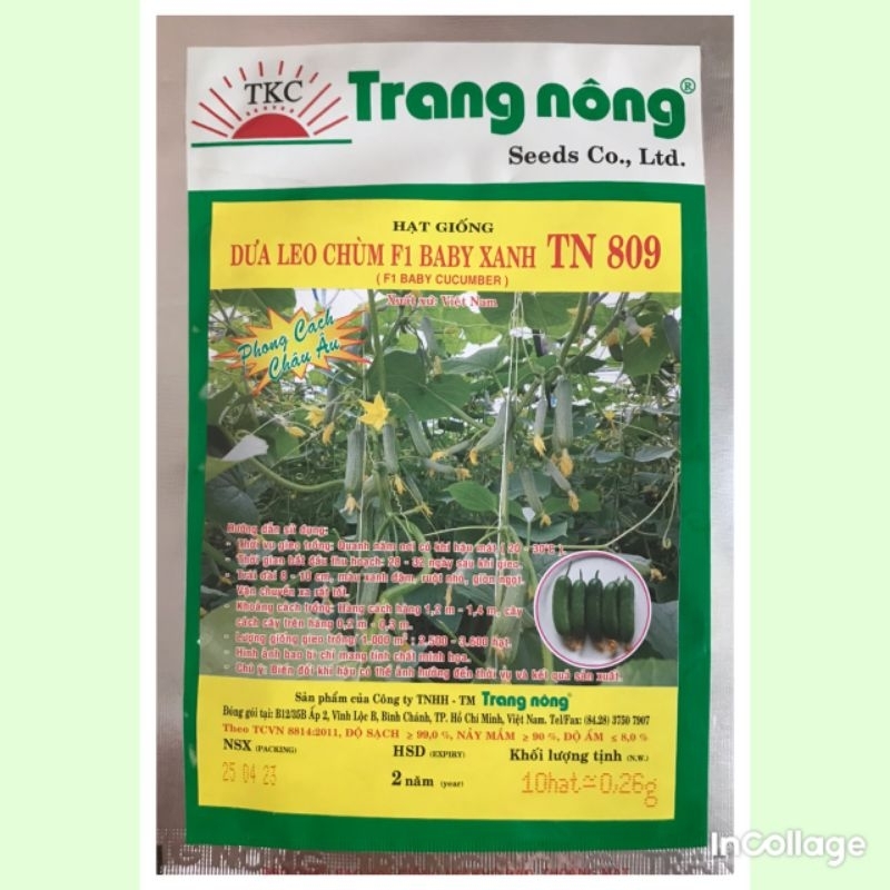 Hạt giống dưa leo chùm baby tự thụ phấn Trang Nông 10 hạt