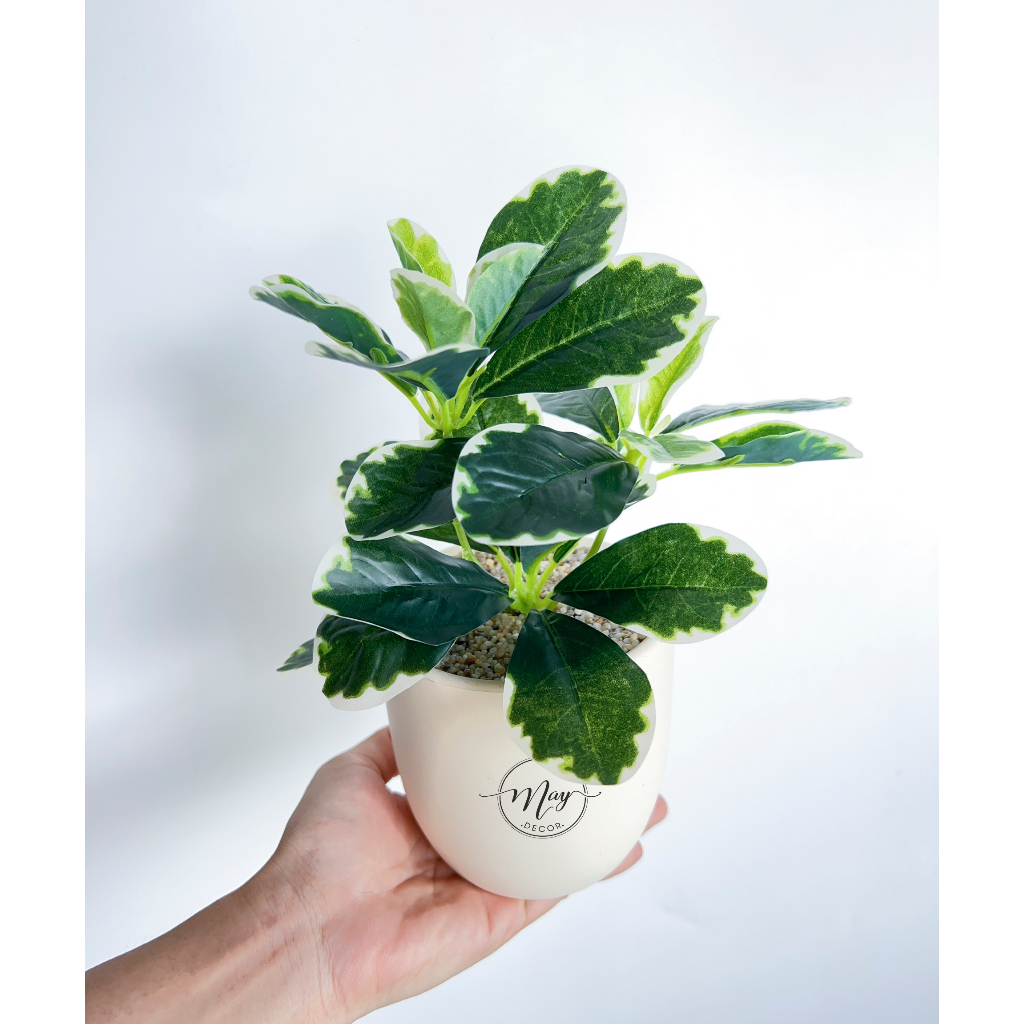 Cây giả, Chậu cây Cẩm Thạch để bàn trang trí