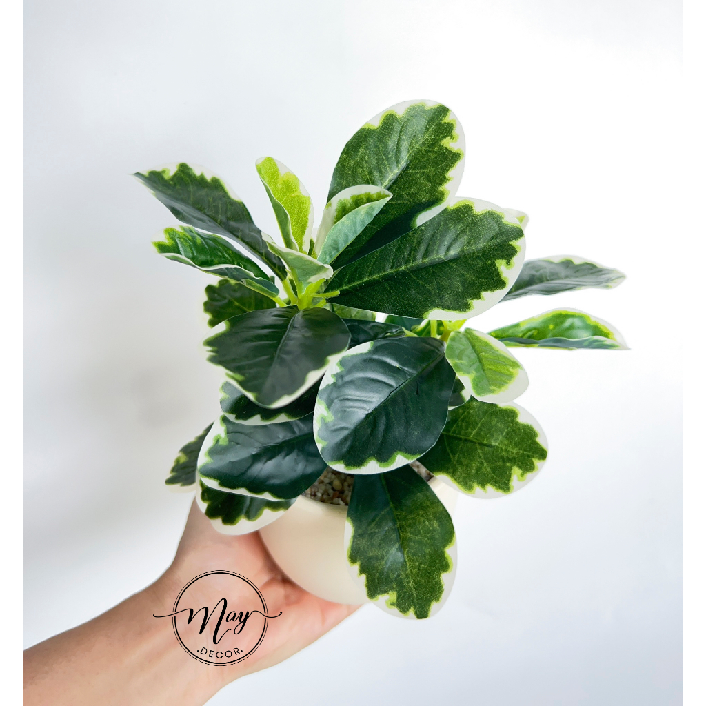 Cây giả, Chậu cây Cẩm Thạch để bàn trang trí