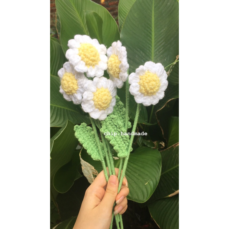 Hoa cúc hoạ mi handmade bằng len siu xinh decor nhà cửa giá rẻ| chip.handmade
