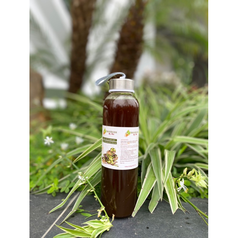 Siro quất húng chanh 500ml
