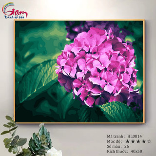 Tranh tô màu theo số sơn dầu số hóa Tranh hoa cẩm tú cầu Paint by numbers kit HL0814