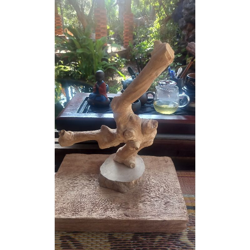 Cành cây cho chim, sóc đậu cao 35 cm
