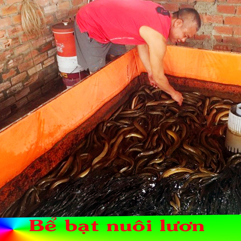 Bể bơi cho trẻ em, bạt dày cao cấp, kích thươc Và Làm Theo Yêu Cầu