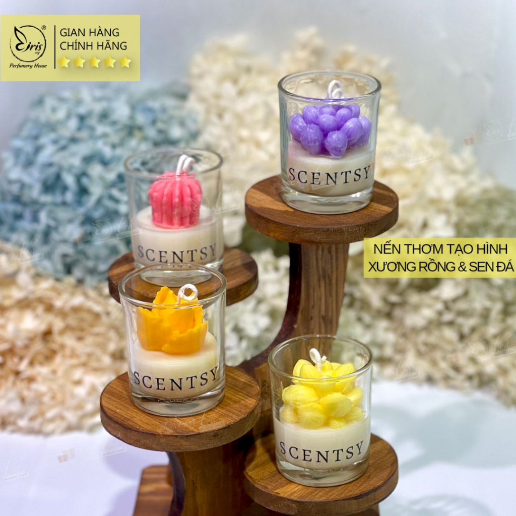 Nến Thơm Tạo Hình Cây Xương Rồng Và Sen Đá Xinh Thơm Nhiều Màu Sắc