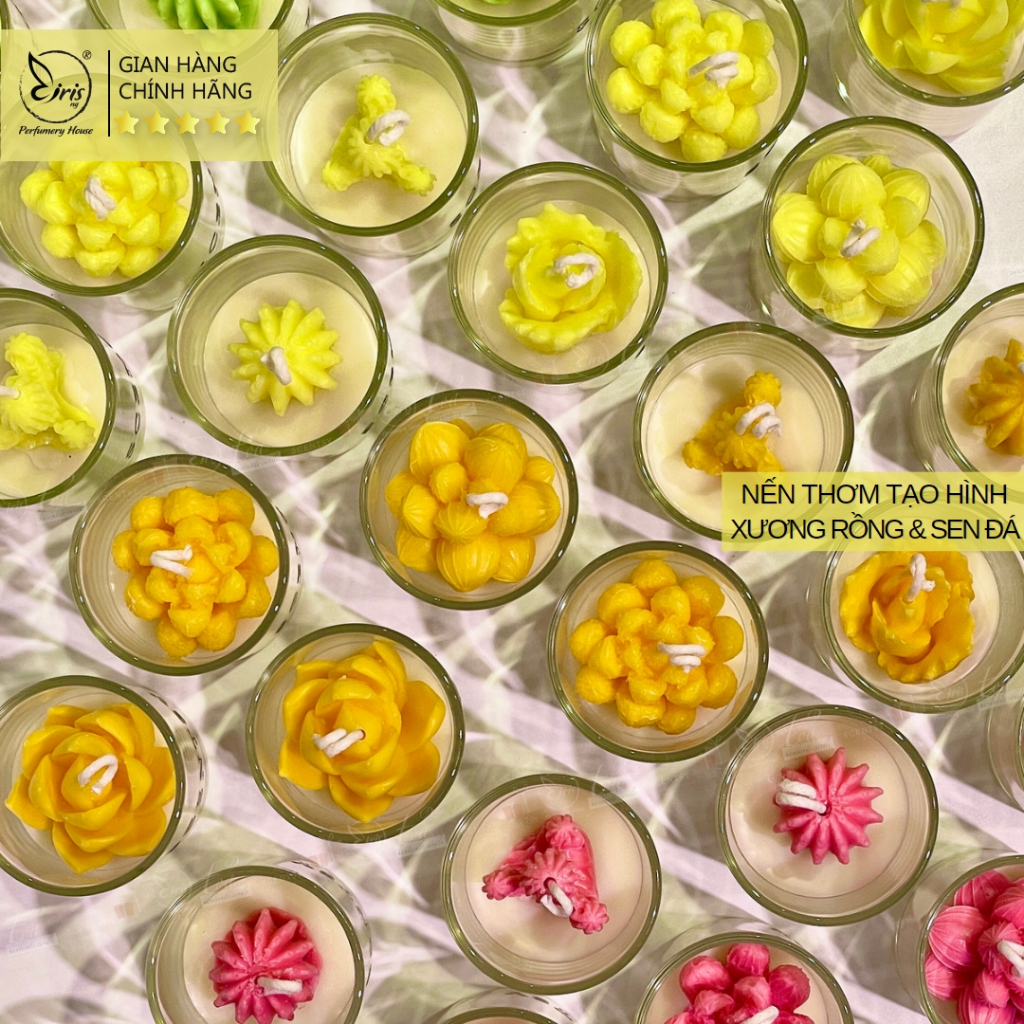 Nến Thơm Tạo Hình Cây Xương Rồng Và Sen Đá Xinh Thơm Nhiều Màu Sắc