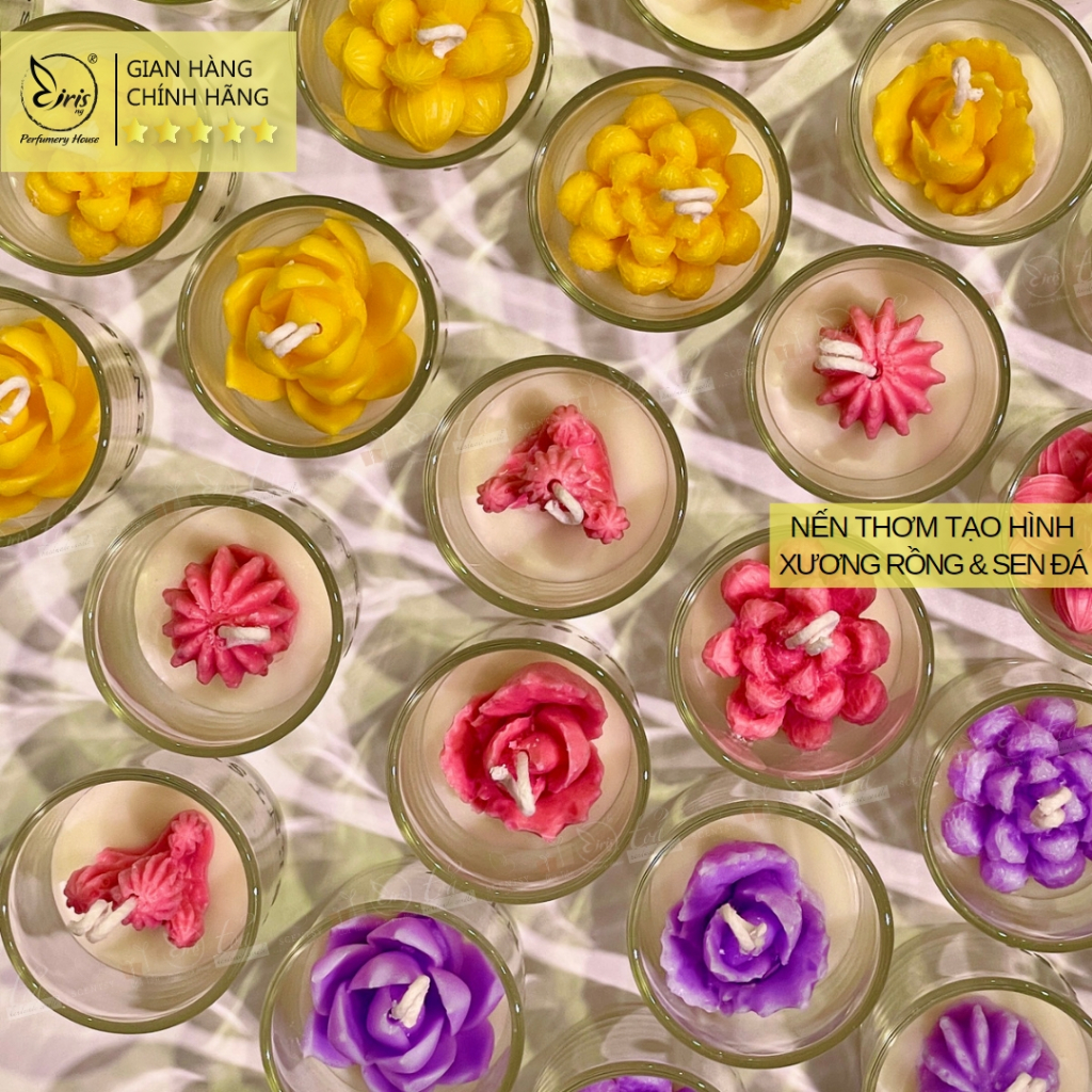 Nến Thơm Tạo Hình Cây Xương Rồng Và Sen Đá Xinh Thơm Nhiều Màu Sắc