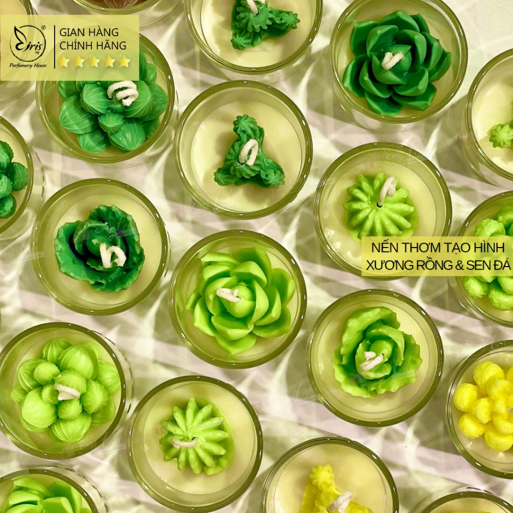 Nến Thơm Tạo Hình Cây Xương Rồng Và Sen Đá Xinh Thơm Nhiều Màu Sắc