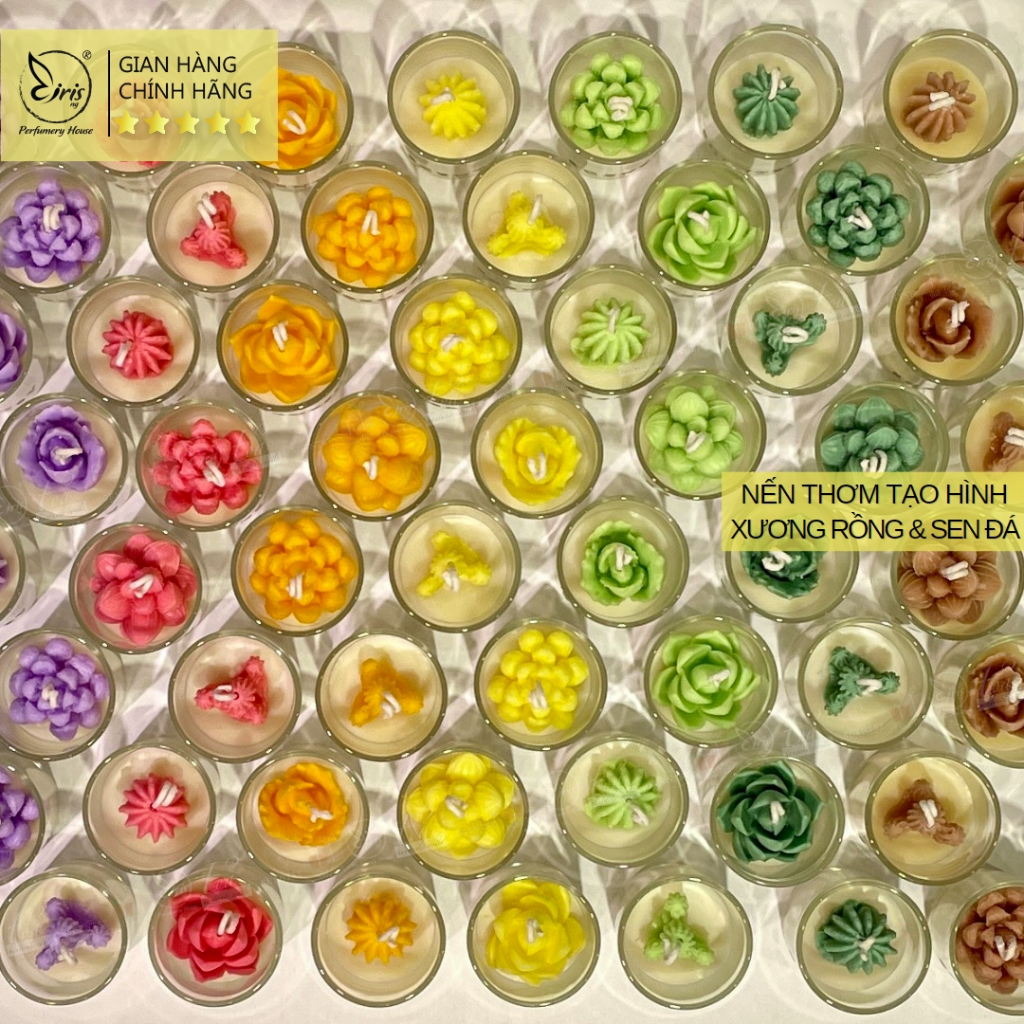 Nến Thơm Tạo Hình Cây Xương Rồng Và Sen Đá Xinh Thơm Nhiều Màu Sắc