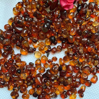 Lệ đào Vân Nam thượng hạng
