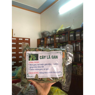 Cây lá Gan 1 kg MÁT GAN, HẠ MEN GAN, thanh lọc cơ thể, bảo vệ gan, chống ung thư gan