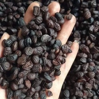 hạt dổi nếp tây bắc - gói dùng thử [30 hạt]
