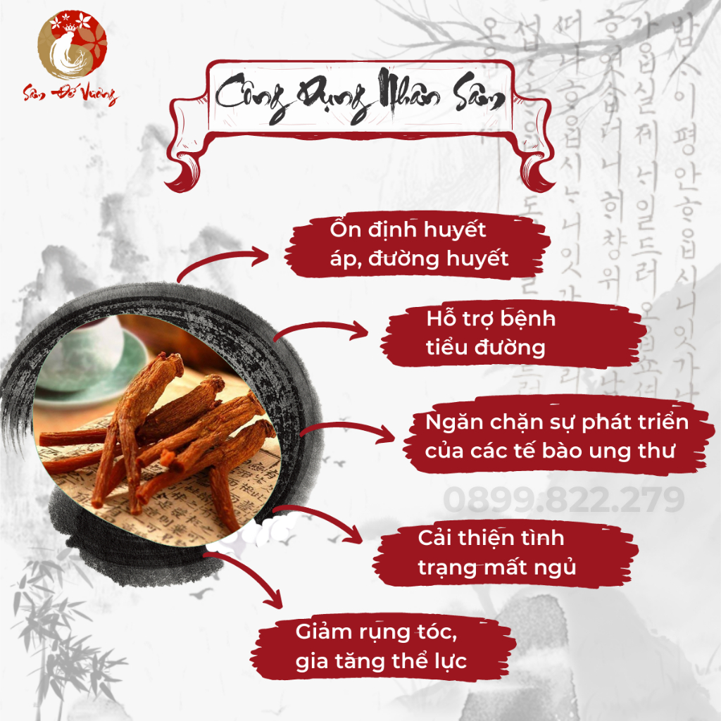 Hồng Sâm Thái Lát Hàn Quốc 10 Năm Tuổi Thượng Hạng 50g - 100% Tự Nhiên Daedong Korean - Thực Phẩm Vàng - Sâm Đế Vương