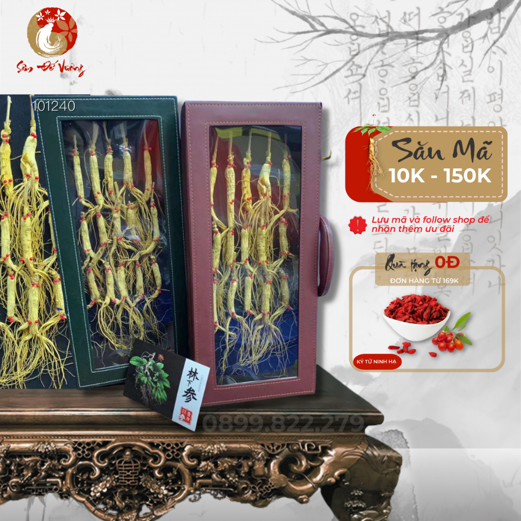 Nhân Sâm Trường Bạch - 15 Củ Bạch Sâm 100% Tự Nhiên 8-10 Năm Tuổi - Phù Hợp Làm Quà Tặng Biếu Dịp Lễ Tết - Sâm Đế Vương