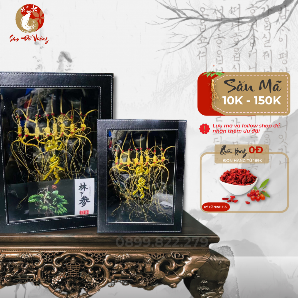 Nhân Sâm Trường Bạch 18-20 Năm Tự Nhiên 100% Thượng Hạng - Chống Mệt Mỏi Bồi Bổ Sức Khỏe, Quà Tặng Lễ Tết - Sâm Đế Vương