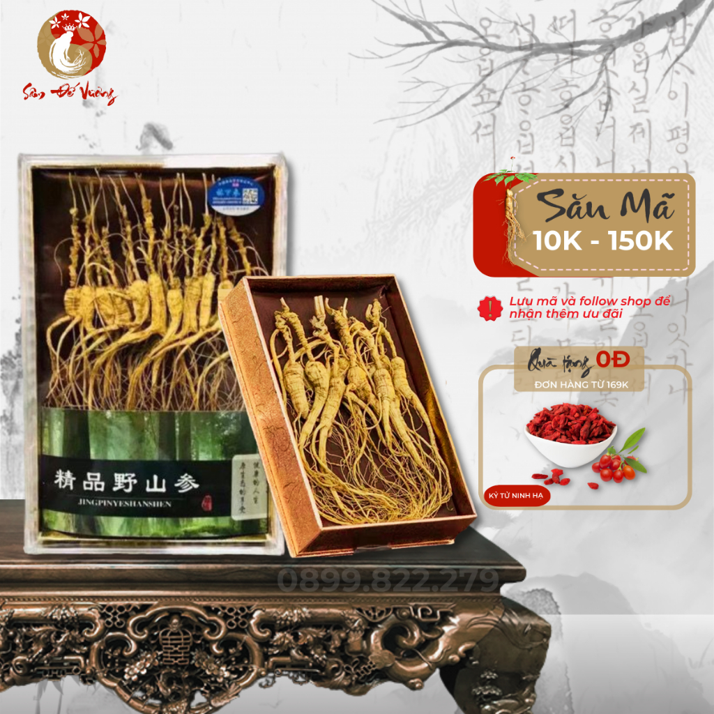 Sâm Trường Bạch 12-15 Năm Tuổi Thượng Hạng 20 Củ - 100% Tự Nhiên - Tăng Cường Đề Kháng, Gia Tăng Tuổi Thọ - Sâm Đế Vương